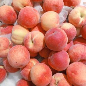 91香蕉福利网站导航
