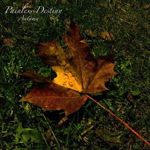 91香蕉福利网站导航
